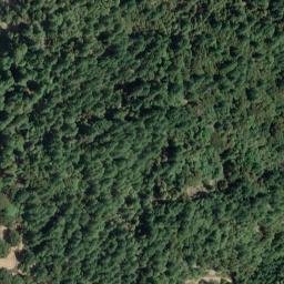 Satellite imagery of Hartsook Giant, US