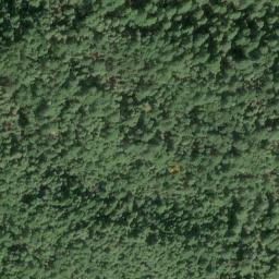Satellite imagery of Hartsook Giant, US