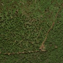 Satellite imagery of Grave Ridge, US