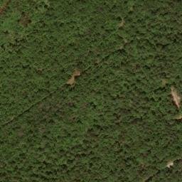 Satellite imagery of Grave Ridge, US