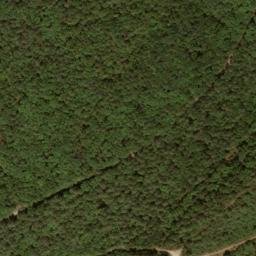 Satellite imagery of Grave Ridge, US