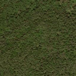 Satellite imagery of Grave Ridge, US