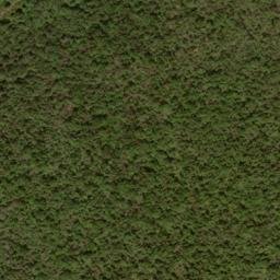 Satellite imagery of Grave Ridge, US