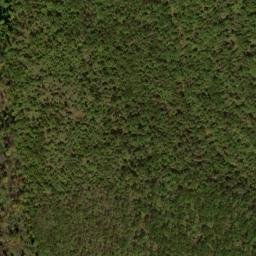 Satellite imagery of Big Flat Ridge, US
