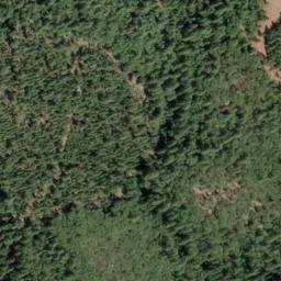 Satellite imagery of Carpenter Ridge, US
