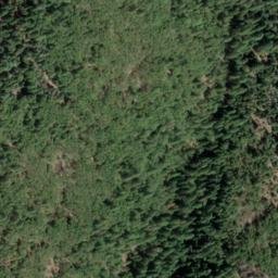 Satellite imagery of Carpenter Ridge, US