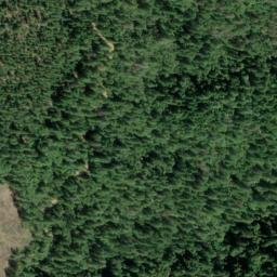 Satellite imagery of Carpenter Ridge, US