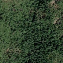 Satellite imagery of Carpenter Ridge, US