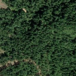 Satellite imagery of Carpenter Ridge, US