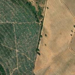 Satellite imagery of survey_point, PT