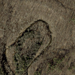 Satellite imagery of Devils Backbone, US