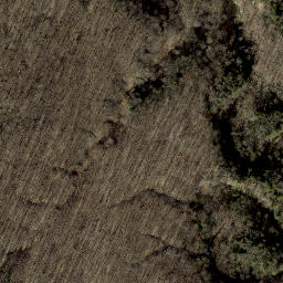 Satellite imagery of Devils Backbone, US