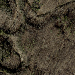Satellite imagery of Devils Backbone, US