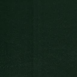Satellite imagery of Coates Point, US