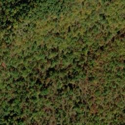 Satellite imagery of Yellow Ridge, US