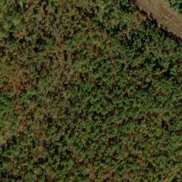 Satellite imagery of Yellow Ridge, US