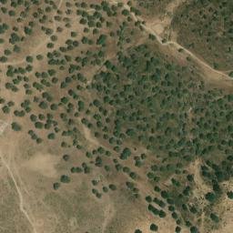 Satellite imagery of survey_point, PT