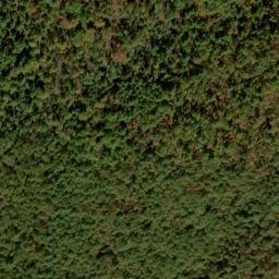 Satellite imagery of Yellow Ridge, US