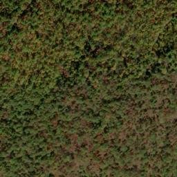 Satellite imagery of Yellow Ridge, US