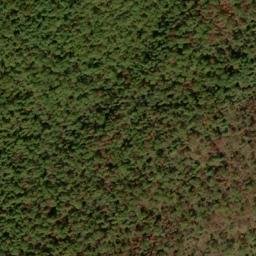 Satellite imagery of Yellow Ridge, US