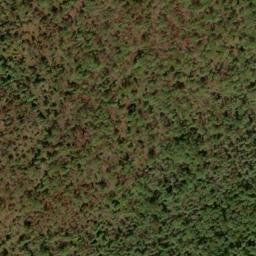 Satellite imagery of Yellow Ridge, US