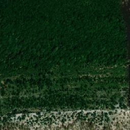 Satellite imagery of Bosh, AL