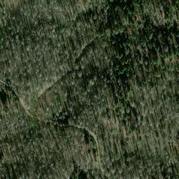Satellite imagery of Forks Ridge, US