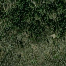 Satellite imagery of Forks Ridge, US