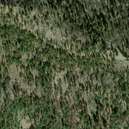 Satellite imagery of Forks Ridge, US