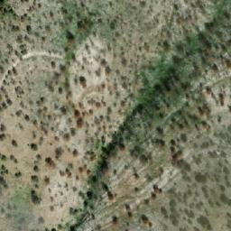 Satellite imagery of Bosh, AL