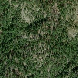 Satellite imagery of Forks Ridge, US