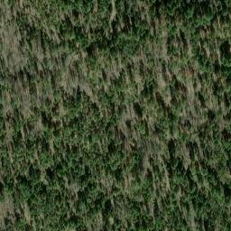 Satellite imagery of Short Ridge, US