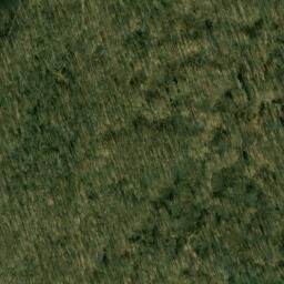 Satellite imagery of Rays Hill, US