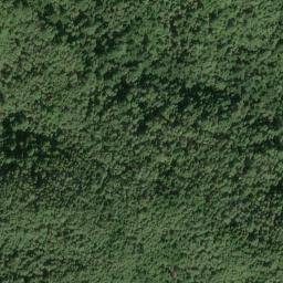 Satellite imagery of Jackass Ridge, US