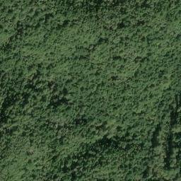 Satellite imagery of Jackass Ridge, US
