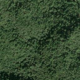 Satellite imagery of Jackass Ridge, US