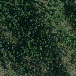 Satellite imagery of Elephant Butte, US