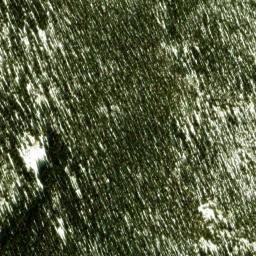 Satellite imagery of Golder-Passarella Claims Mine, US