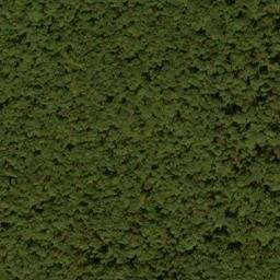 Satellite imagery of Snaggy Ridge, US