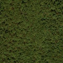 Satellite imagery of Snaggy Ridge, US