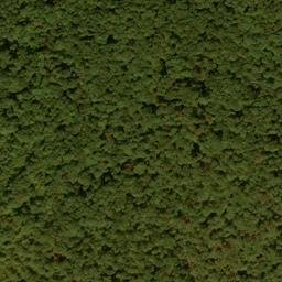Satellite imagery of Snaggy Ridge, US
