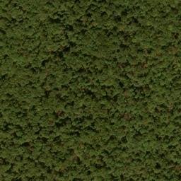Satellite imagery of Snaggy Ridge, US