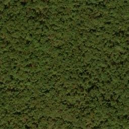 Satellite imagery of Snaggy Ridge, US