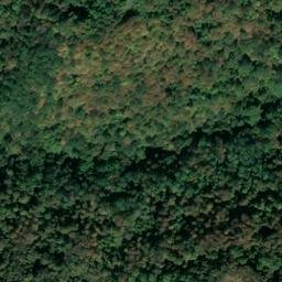Satellite imagery of Fallen Timber Ridge, US