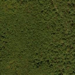 Satellite imagery of Snaggy Ridge, US