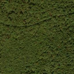 Satellite imagery of Snaggy Ridge, US
