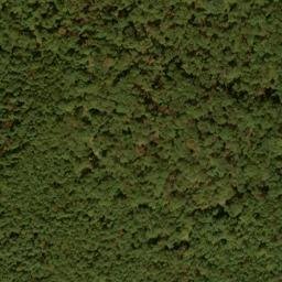 Satellite imagery of Snaggy Ridge, US