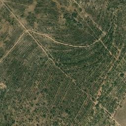 Satellite imagery of survey_point, PT