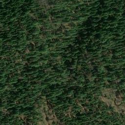 Satellite imagery of Buckhorn Mine, US