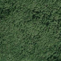 Satellite imagery of Timber Ridge, US